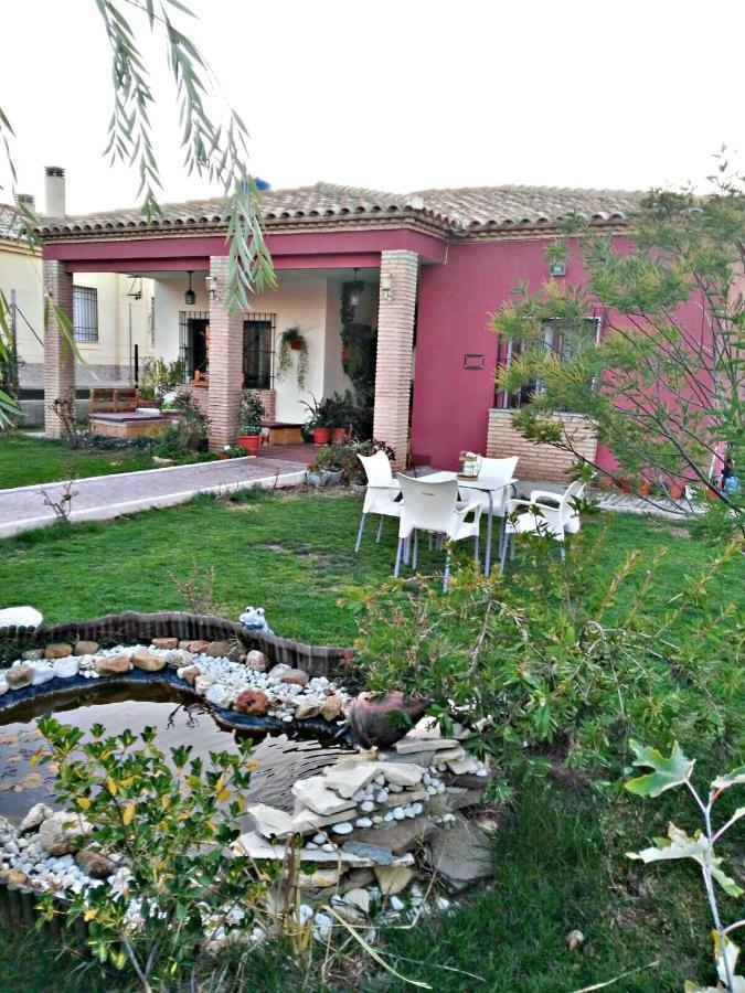 Los Rosales Alcaracejos エクステリア 写真